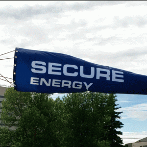 Custom Printed Windsocks